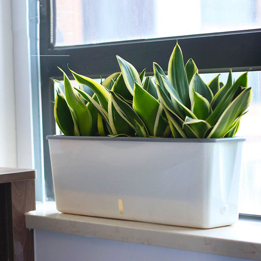 Self Watering Planter