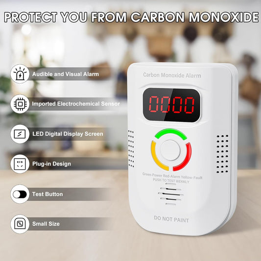 Carbon Monoxide Detector