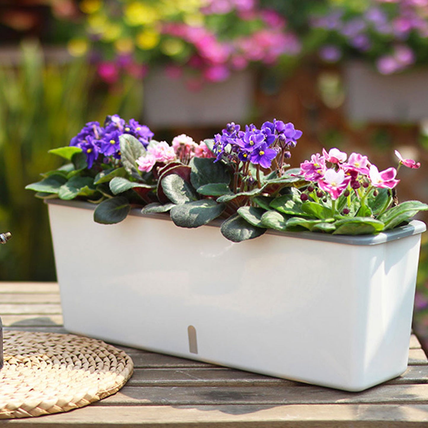 Self Watering Planter