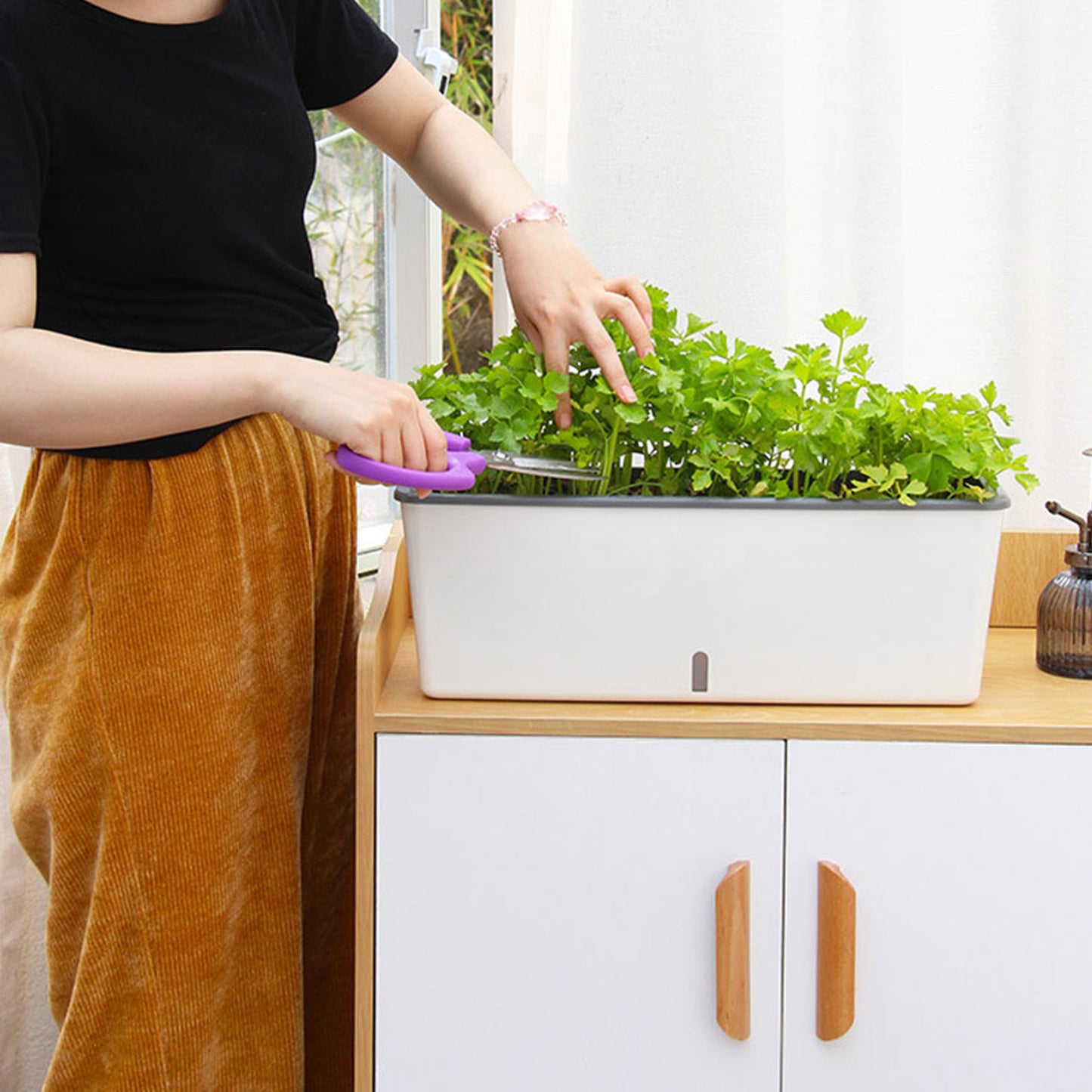 Self Watering Planter